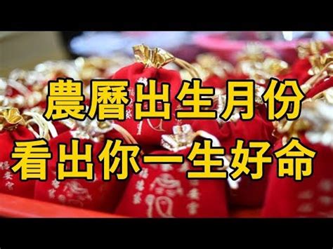 免費出生年月日配對|【免費出生年月日配對】免費出生年月日配對：揭曉你的愛情姻。